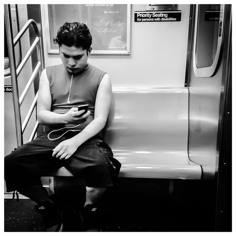Photograph 154 from F TRAIN LOVESEATS