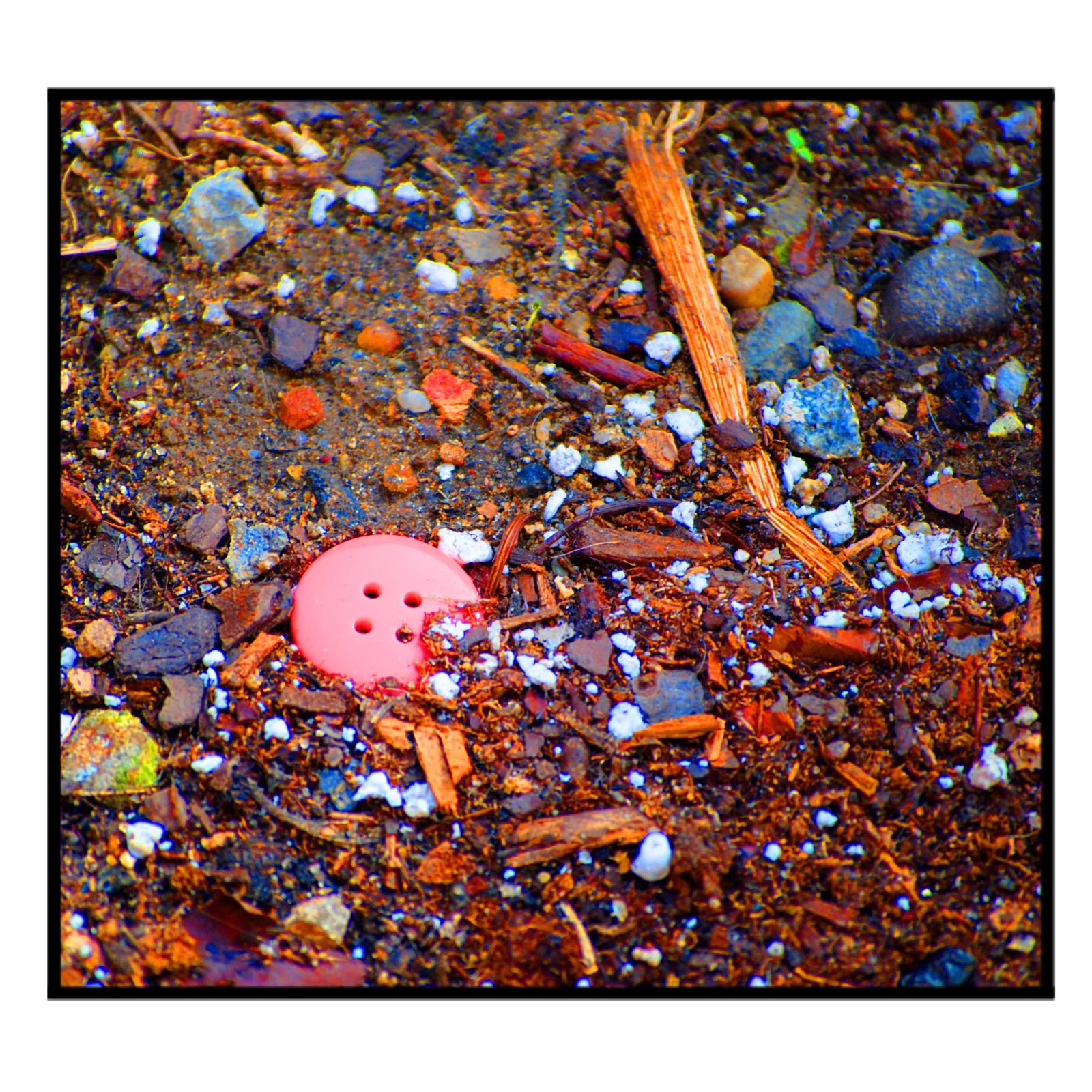 Button