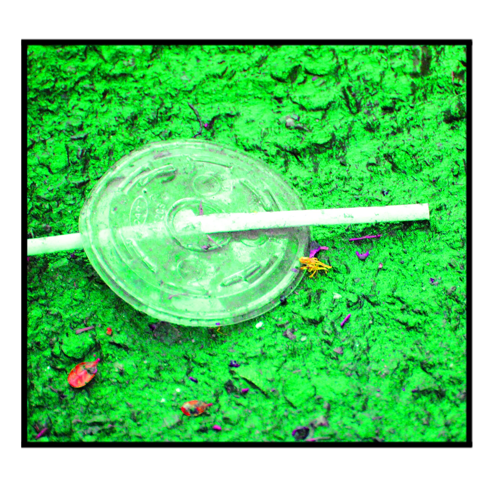 Lid and Straw