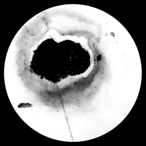 Photograph 32 from THE BLACK HOLE