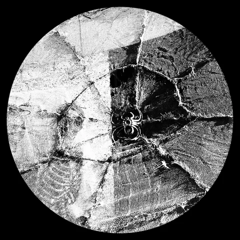 Photograph 90 from THE BLACK HOLE