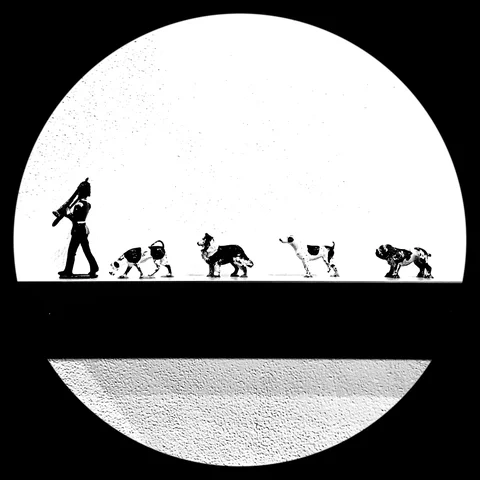 Photograph 109 from THE BLACK HOLE