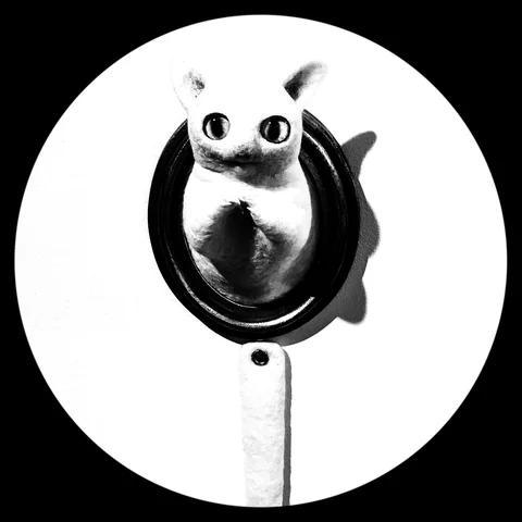 Photograph 114 from THE BLACK HOLE