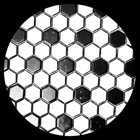 Photograph 134 from THE BLACK HOLE