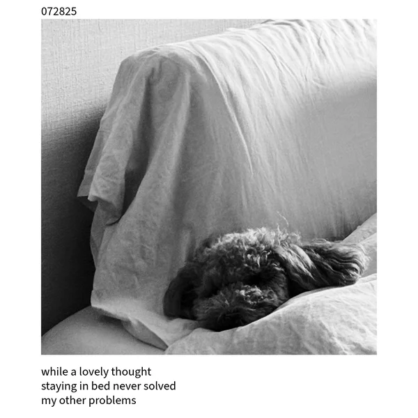 The Cuckoo Haiku — July 28, 2025