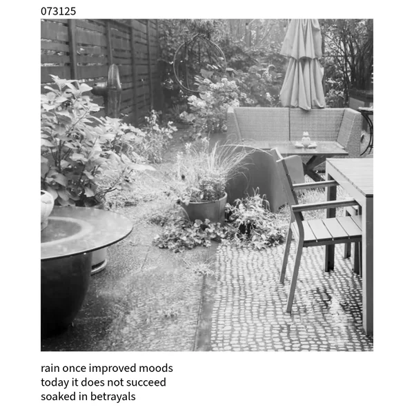 The Cuckoo Haiku — July 31, 2025