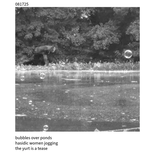 The Cuckoo Haiku — August 17, 2025