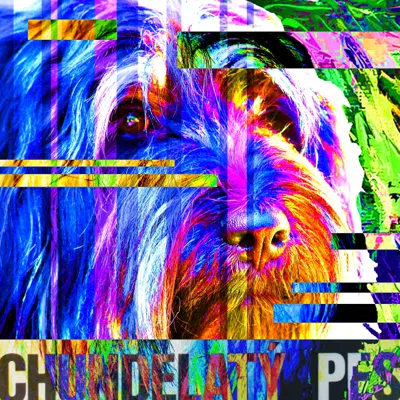 ShaggyDog digital collage