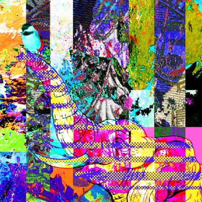 Incontrovertible digital collage