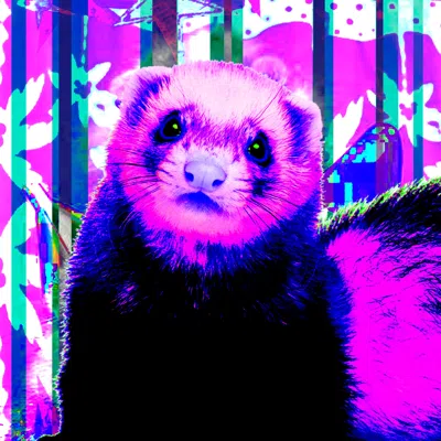 Ferret digital collage